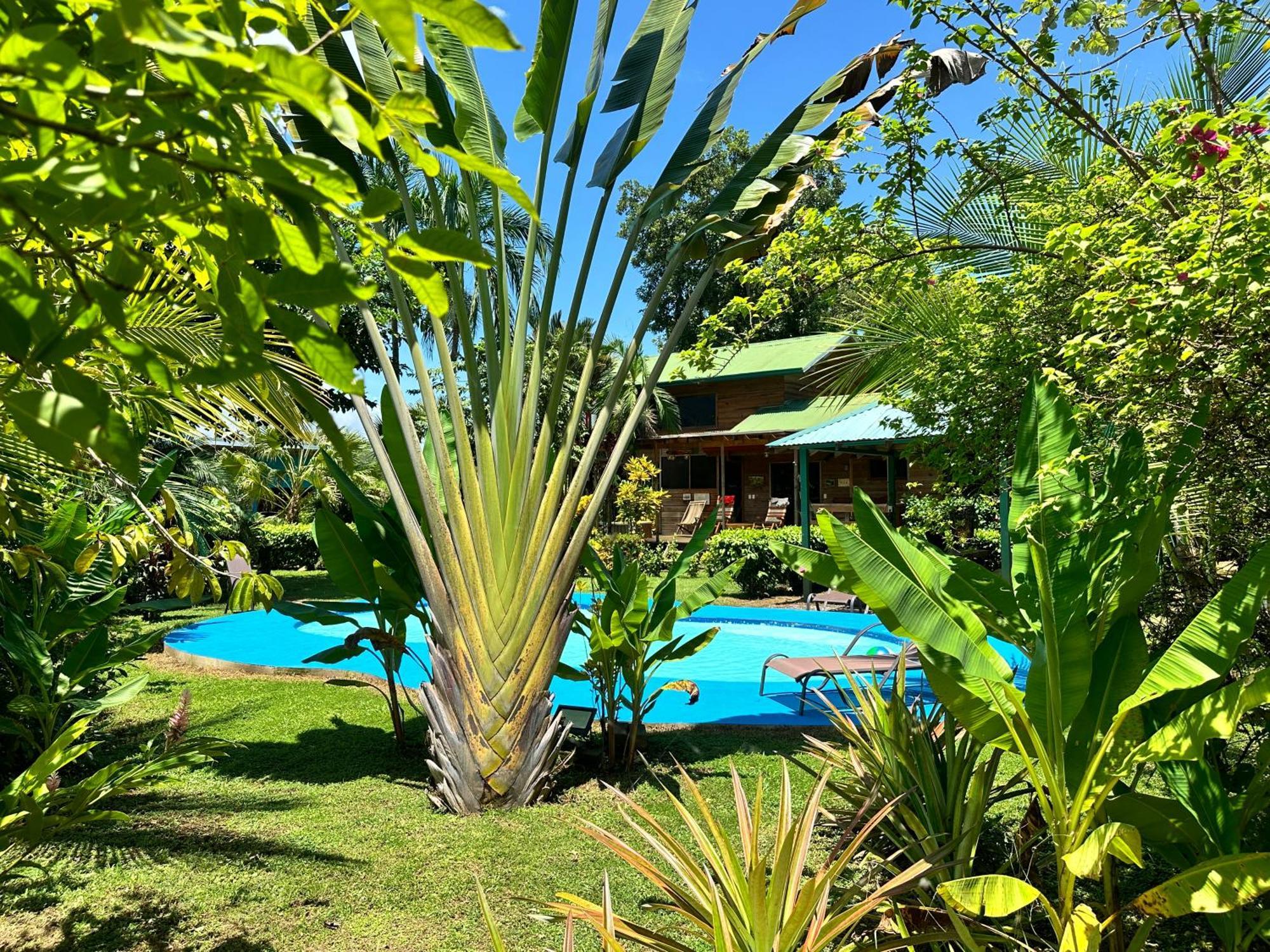 Uvita Oasis Retreat With Villa Cabins And Apartment Dış mekan fotoğraf